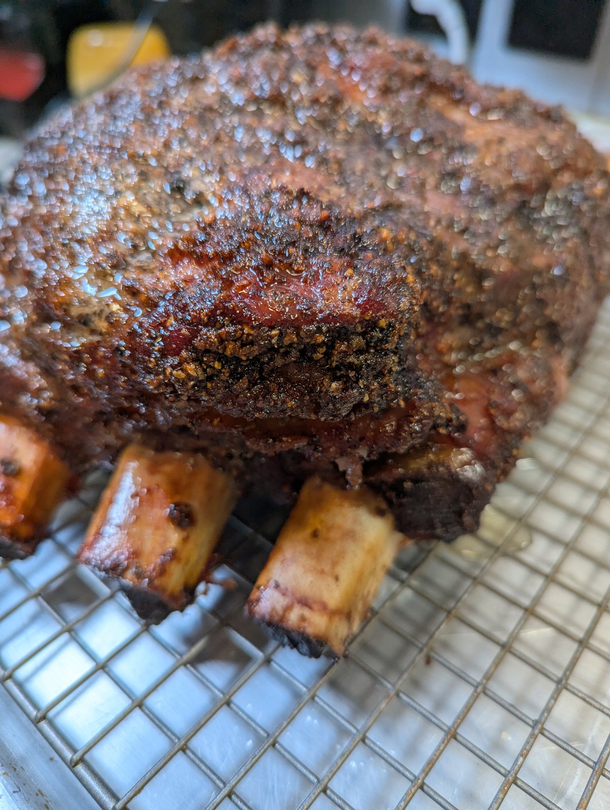 Beef Dino Ribs
